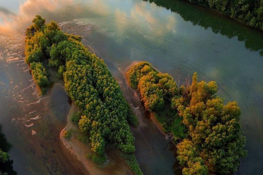 An aerial view of a river with dense green vegetation along its banks. 5