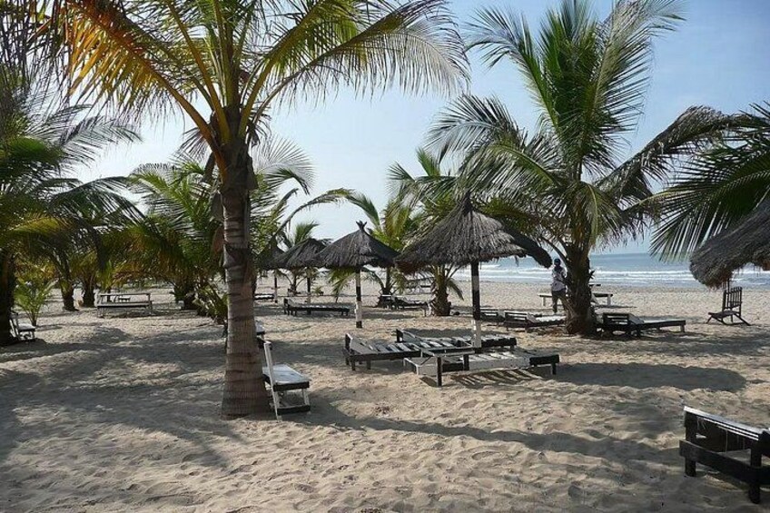 A beach with palm trees, thatched umbrellas, and lounge chairs. 3