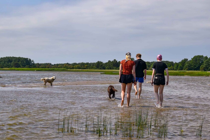 Picture 8 for Activity All Inclusive Day Trip from Tallinn: Prangli Island 4