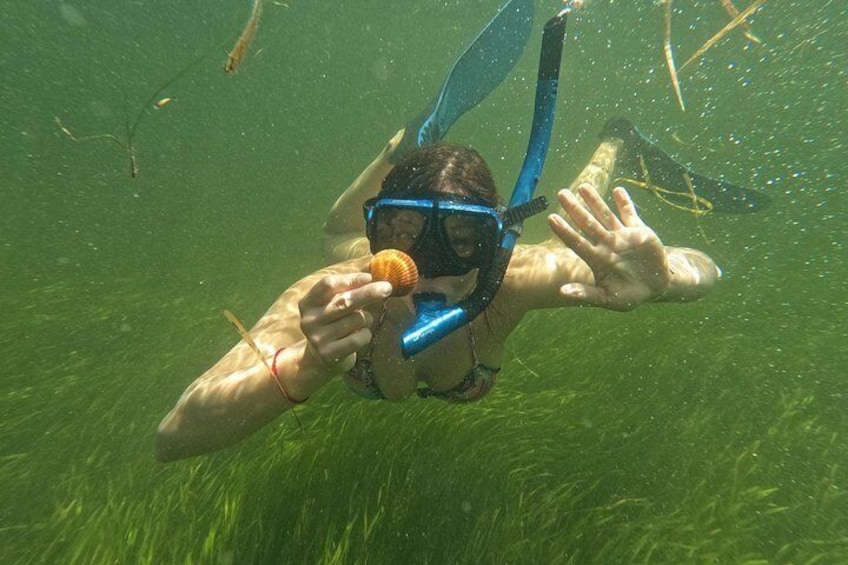 Come catch scallops in an underwater Easter egg hunt! 4