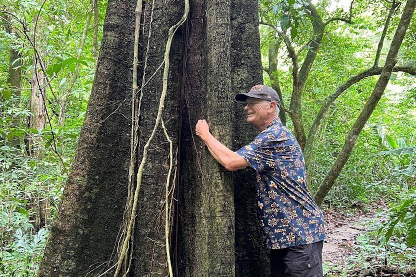 A man inspecting a tree trunk in a forest. 1