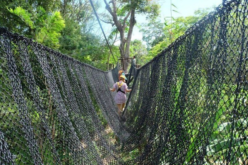 A person walking on a suspended net bridge in a forest. 3