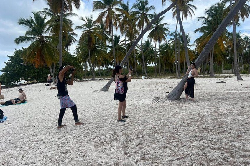 En strand med palmer, mennesker der solbader, og en person der tager et billede. 3
