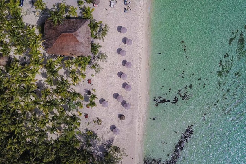 Una playa con palmeras, una cabaña y tumbonas. 2