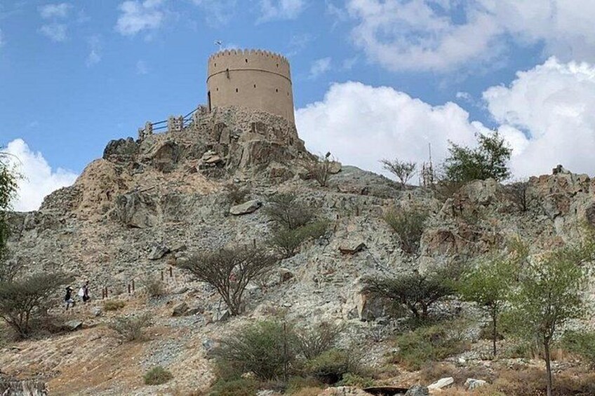 Eine historische Festung auf einem felsigen Hügel mit spärlicher Vegetation. 4