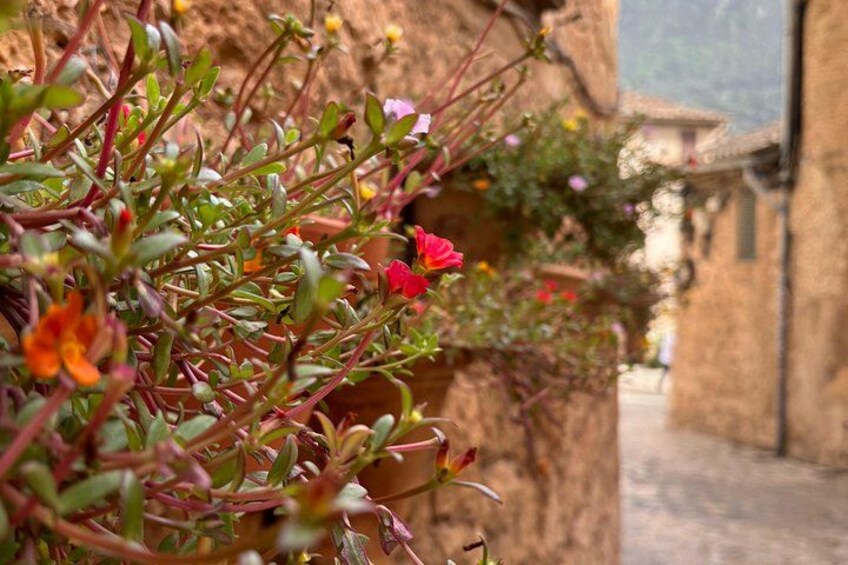 Valldemossa Tour and its Most Beautiful Viewpoints Easy Hike 2