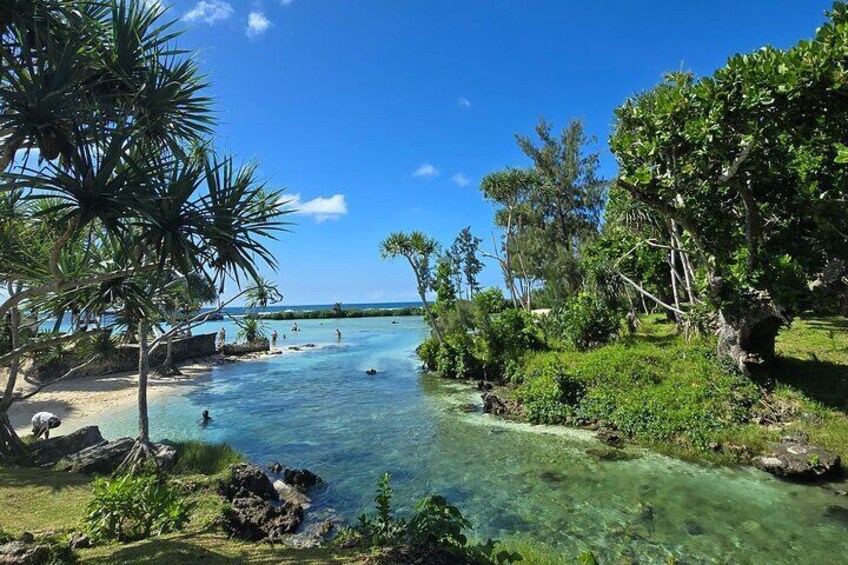 A clear, shallow water body surrounded by lush greenery and palm trees. 2