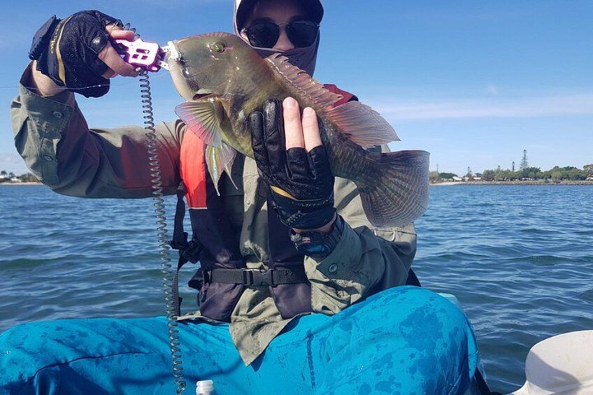Guided Kayak Fishing 2