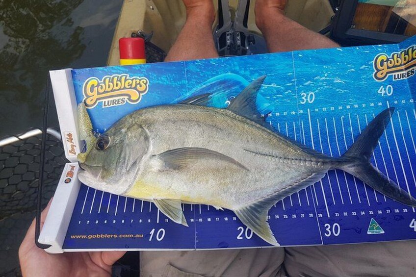 A person holding a box of Gobblers Lures with a fish on top. 4