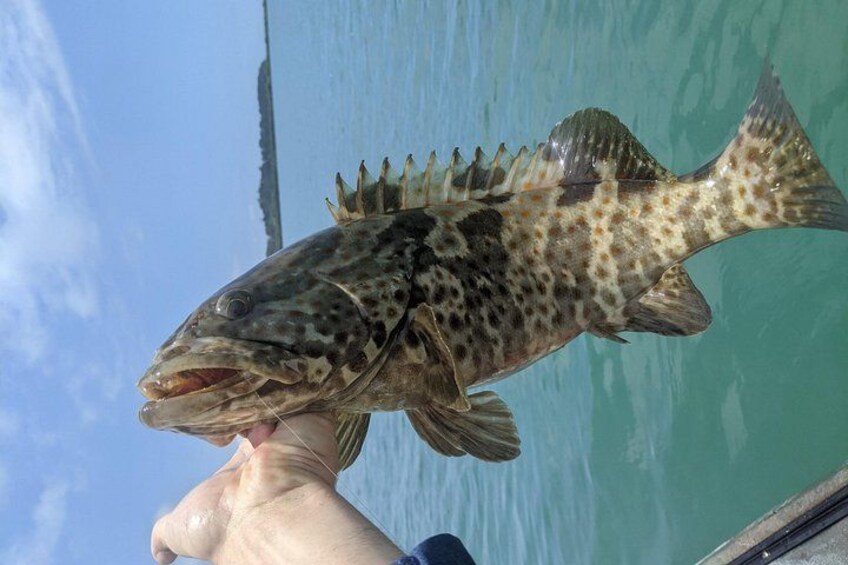 Guided Kayak Fishing 2