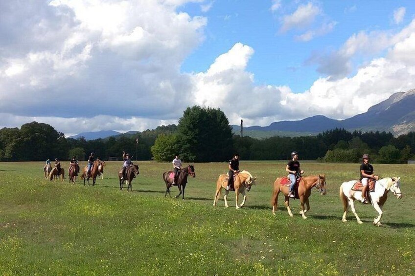 A group of people riding horses in a grassy field with mountains in the background. 1