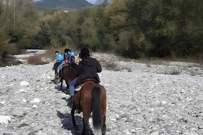 Garfagnana Horseback Riding Experience in Tuscany 2