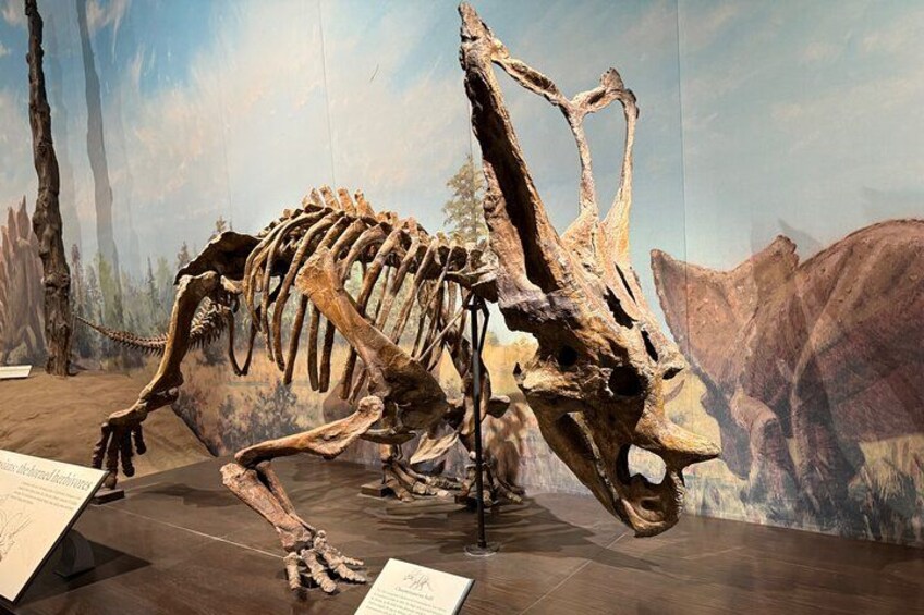 Drumheller & Hoodoos Day Trip from Calgary, Explore the Badlands 5