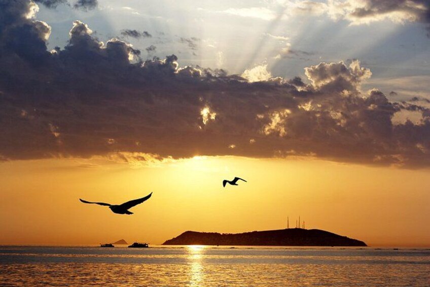 Princes Islands Tour Kınalıada and Buyukada with Lunch 4