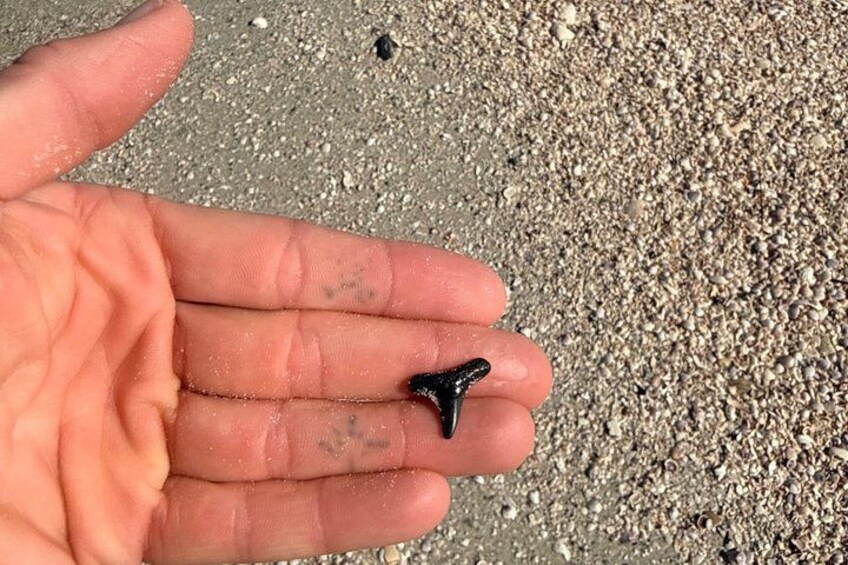 Eine Hand hält ein kleines, schwarzes Objekt auf sandigem Untergrund. 2
