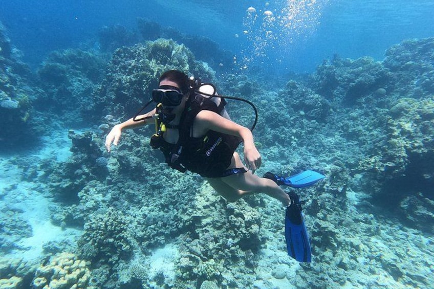 Una persona bucea bajo el agua con un arrecife en el fondo. 3