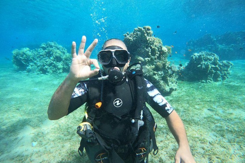 Un buzo bajo el agua, con un arrecife de coral al fondo. 4