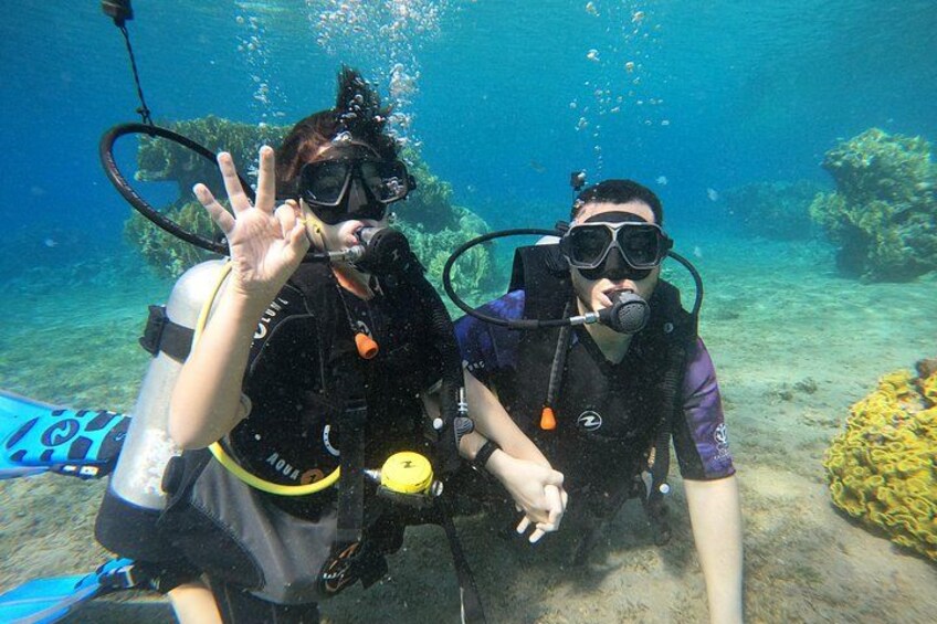 Dos buzos bajo el agua, con formaciones de coral y vida marina de fondo. 5