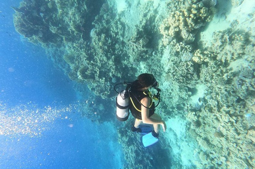 Un buceador bajo el agua con un aletín azul, rodeado de arrecifes de coral. 2