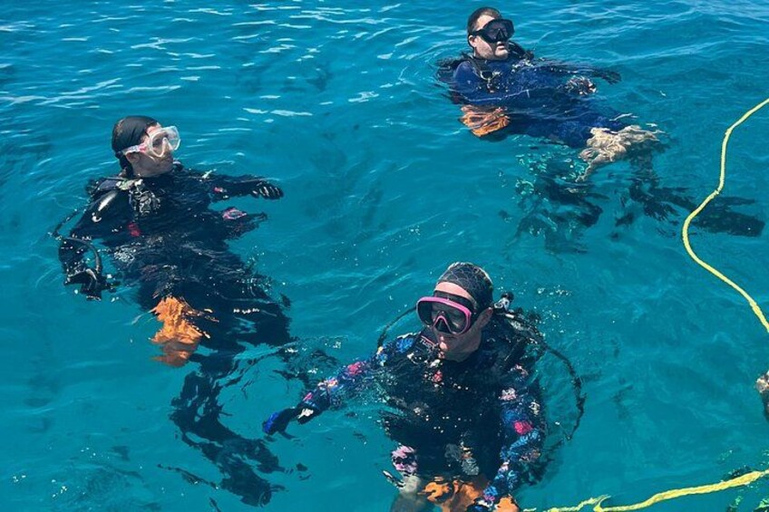 Fun guided dives 3