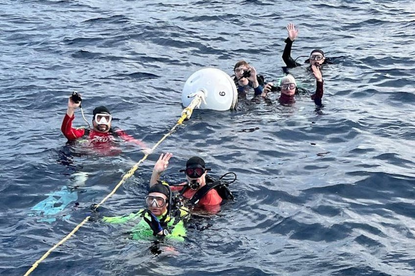The wreck of the USS Spiegel Grove 4