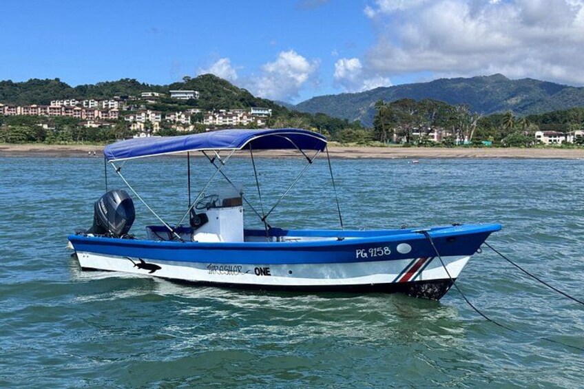 A blue and white boat with a canopy on a calm sea, with a beach and mountains in the background. 2