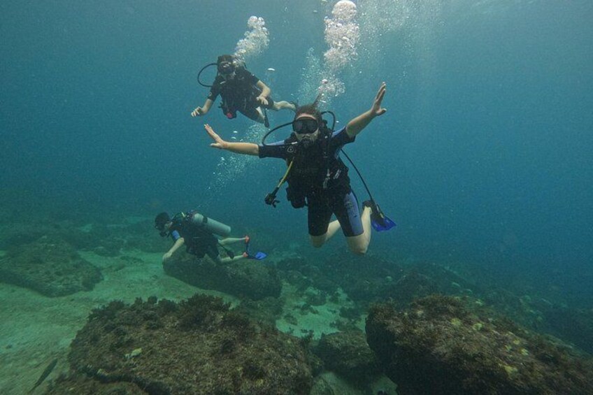 Family enjoying the underwater world. 2