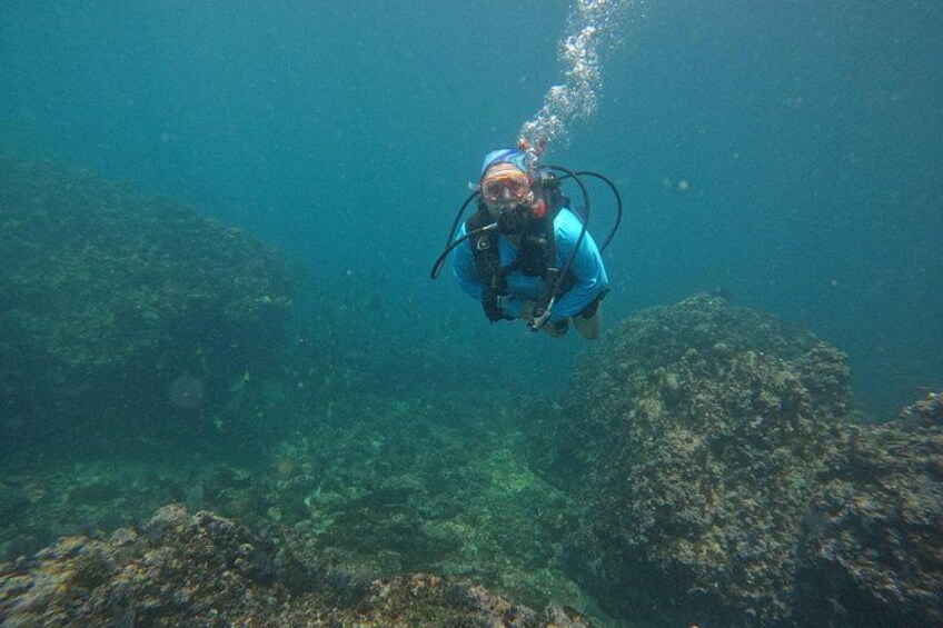 Enjoying the wonder of diving. 3