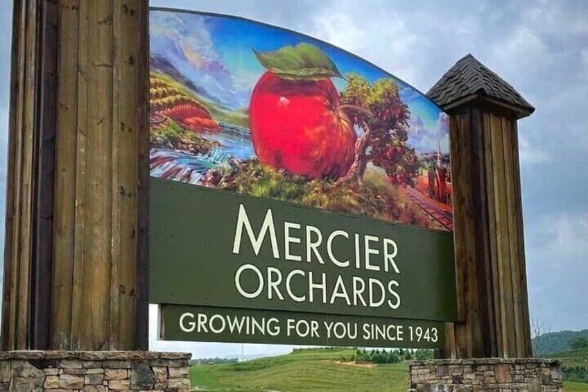 A large sign for Mercer Orchards with a depiction of a red apple and a scenic landscape. 5