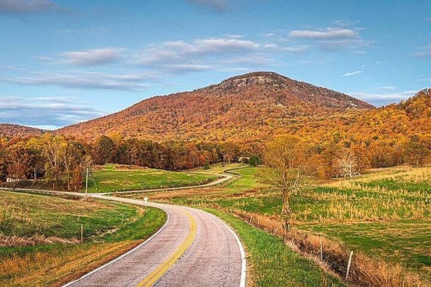 Full Day Tour from Atlanta to Amicalola Falls and Blue Ridge 2