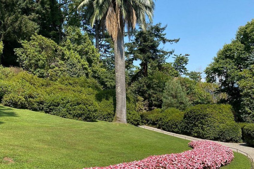 A well-maintained lawn, a palm tree, and a flower bed with pink flowers. 3
