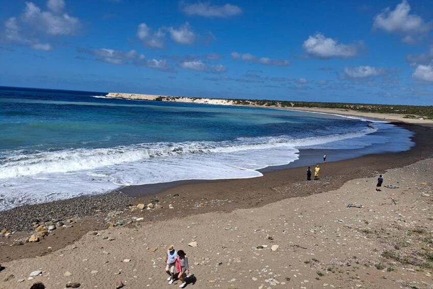 Une plage où l’on voit des gens se promener et se tenir debout, un rivage rocheux et une étendue de terre visible au loin. 4