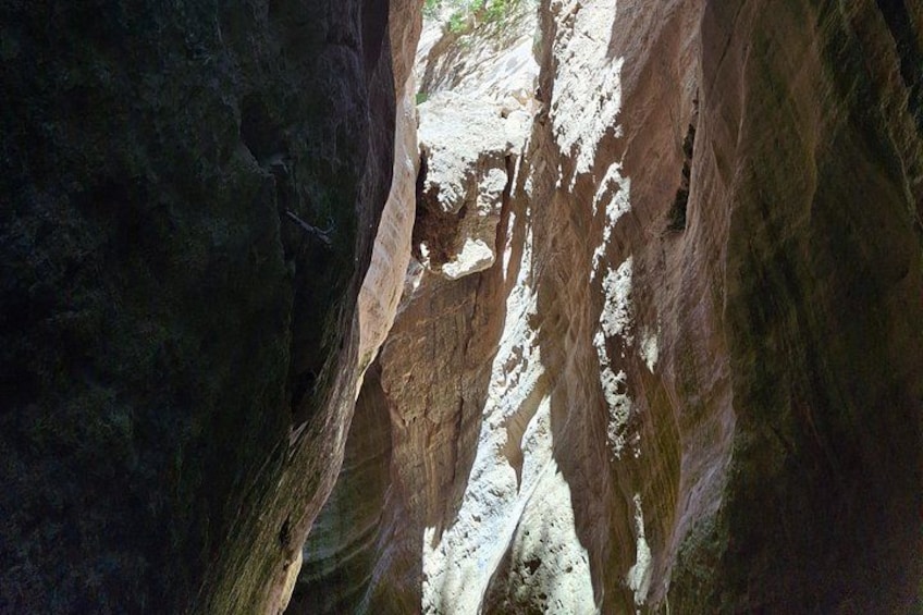 Akamas National Park & Avakas Gorge Tour from Paphos 5