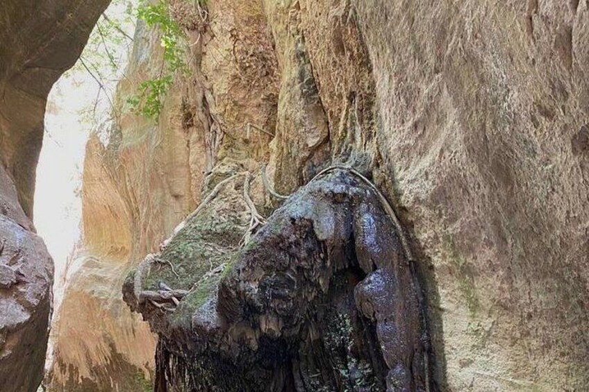 L'entrée d'une grotte, ornée de stalactites et de stalagmites. 3