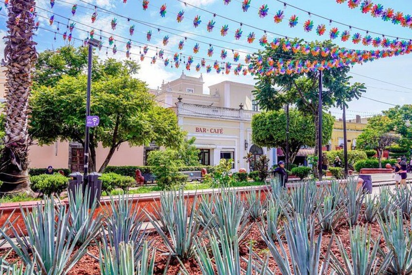 Outside the main plaza of Tequila, Jalisco 3