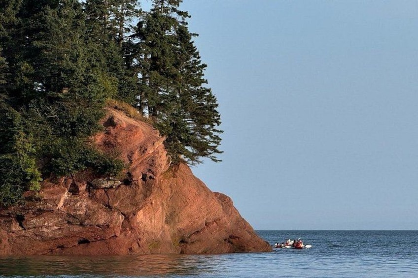 Bay of Fundy Tour Saint John NB 3