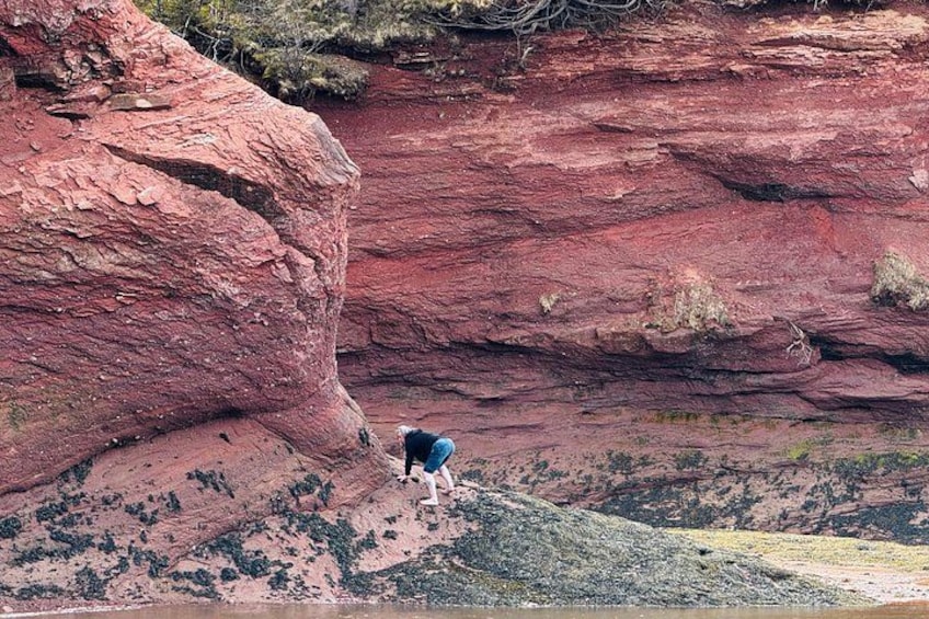 Bay of Fundy Tour Saint John NB 3