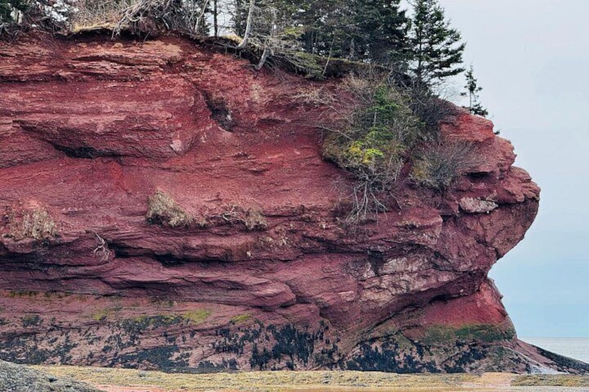 A red rock cliff with sparse vegetation and a clear sky. 2