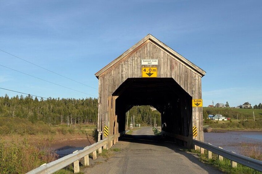 Bay of Fundy Tour Saint John NB 3