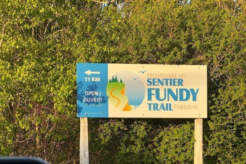 Bay of Fundy Tour Saint John NB 2