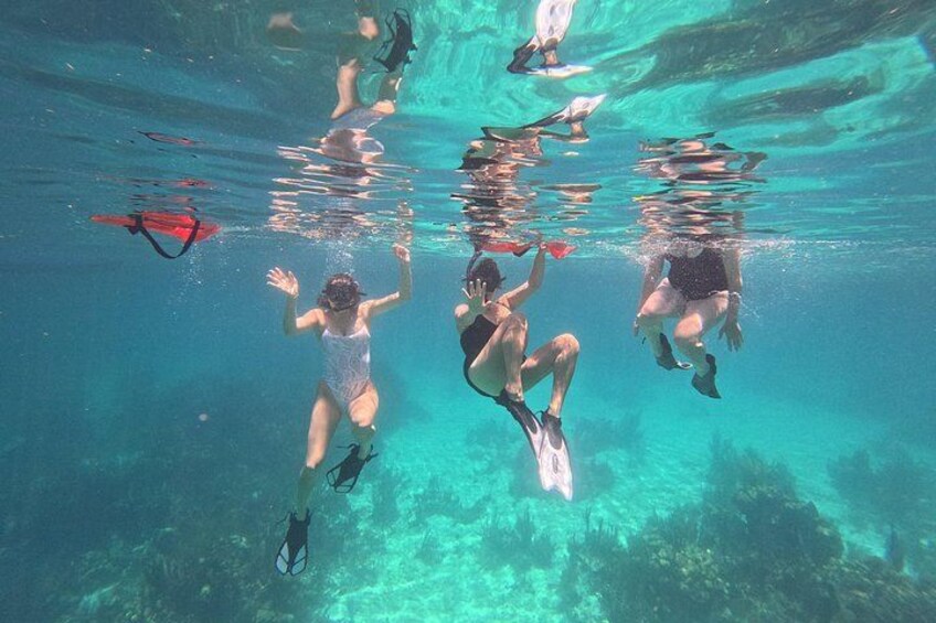 Menschen schwimmen mit Flossen und Schnorcheln unter Wasser. 3
