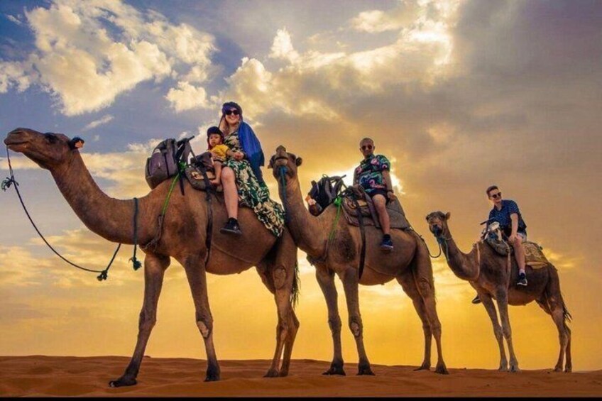 Four camels with people riding them in a desert landscape. 1