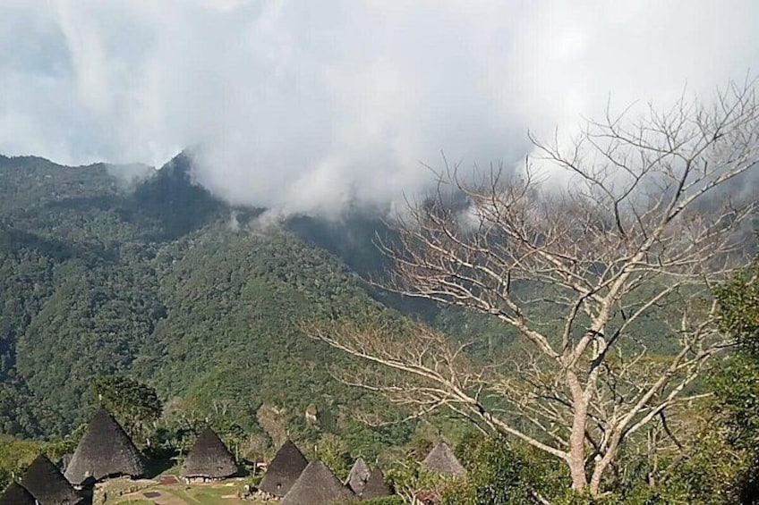 A mountainous landscape with thatched-roof huts and a leafless tree. 4