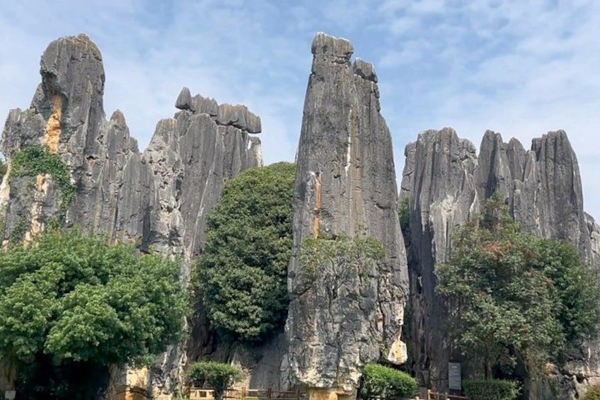 Tall, rugged rock formations with dense green foliage at their base. 4