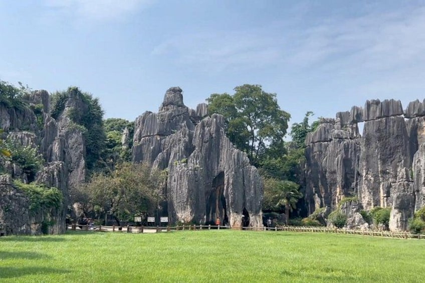 A natural landscape with tall rock formations and a grassy field. 5