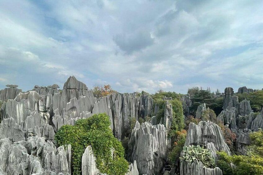 Un paisaje de formaciones rocosas altas y escarpadas con vegetación escasa. 1