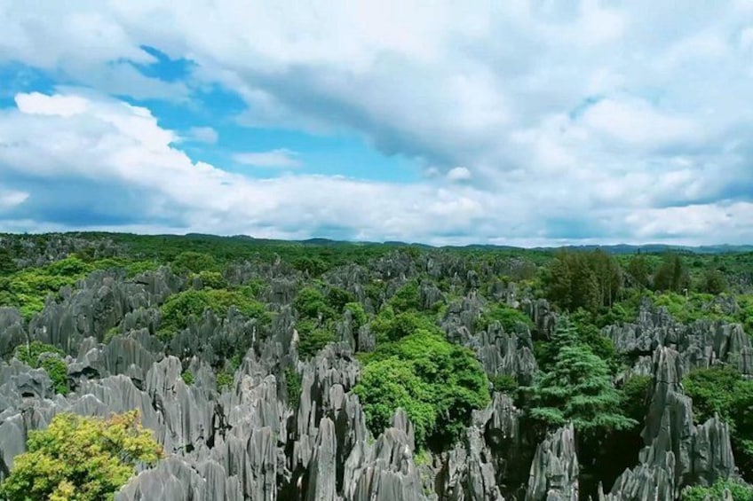 A landscape with tall, jagged rock formations and dense green foliage. 3