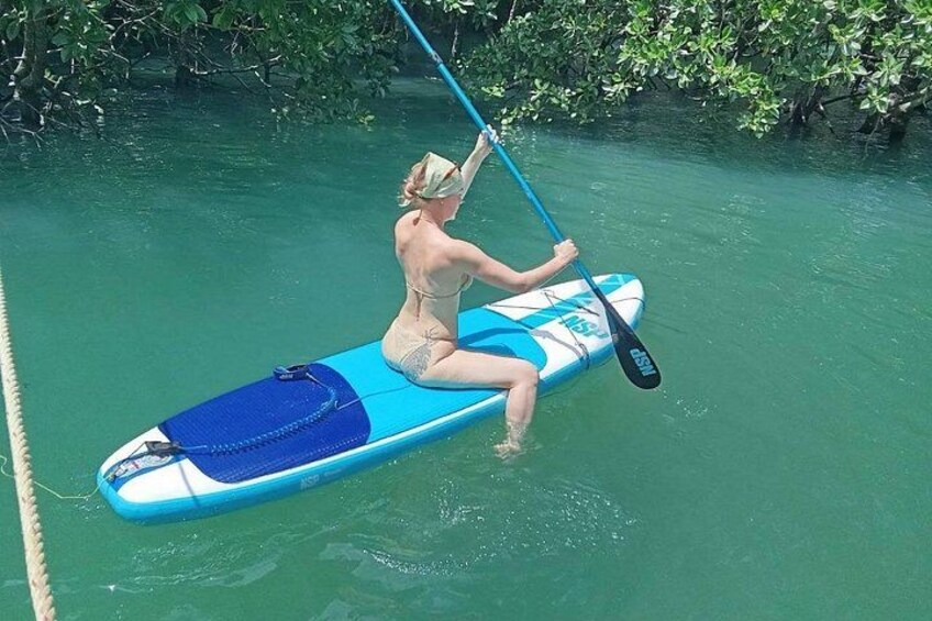 Una persona fa paddleboard in acque calme, con fitta vegetazione sullo sfondo. 1
