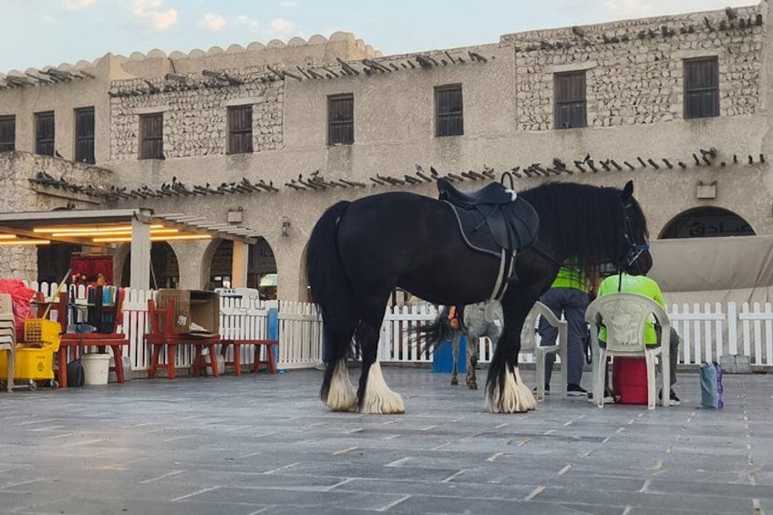 A black horse with a saddle standing in front of a stone building with arches. 4
