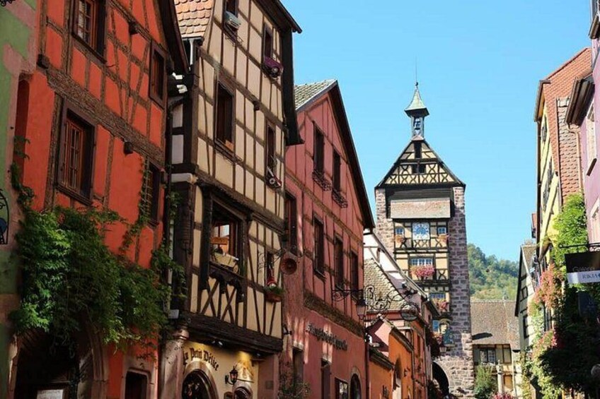 From Zurich: Black Forest & Alsace Wine Tasting Private Tour 2